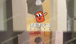 吃瓜明星爆料直播视频在线观看,吃瓜直播视频带你一窥娱乐圈真相